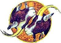 Capricorn Horoscope